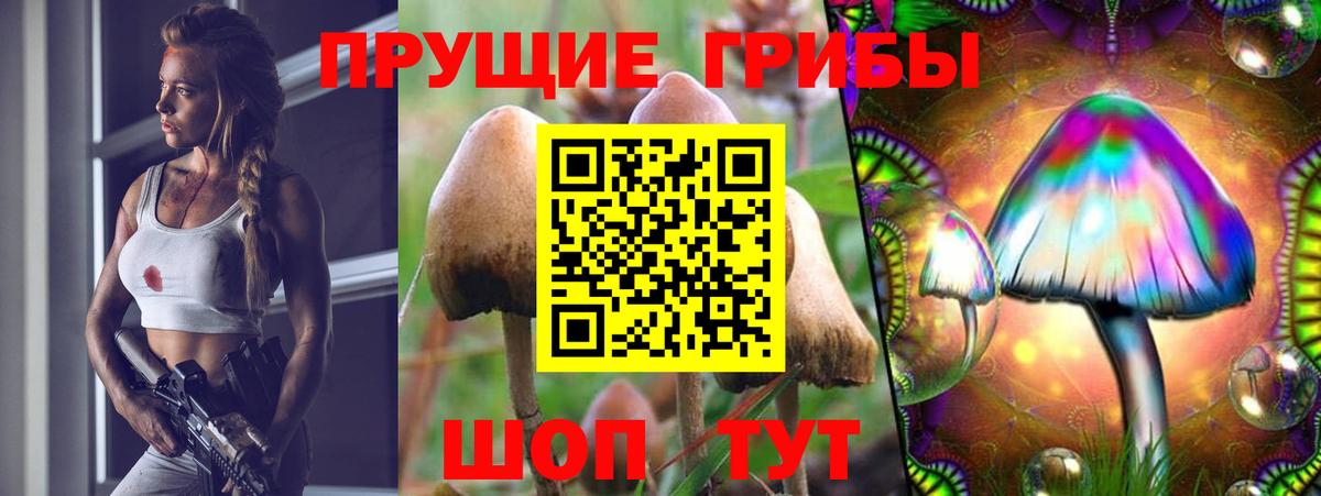 Псилоцибиновые грибы ЛСД  Вход с VPN  Сургут  Псилоцибиновые грибы GOLDEN TEACHER 