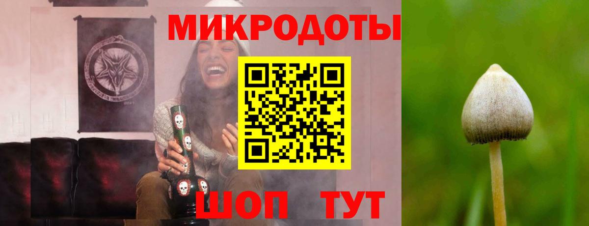 Псилоцибиновые грибы MAGIC MUSHROOMS Сургут